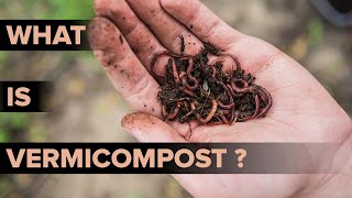 What is Vermicomposting  Methods of Vermicomposting  Environmental Science  Letstute [upl. by Einobe593]