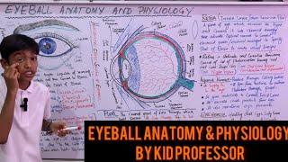 Human Eye Structure and Functions HindiUrdu Live Class on Eye Anatomy and Physiology [upl. by Airel]