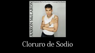 Cloruro de Sodio Lyrics [upl. by Vedi]