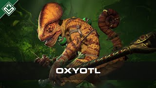 Oxyotl  Warhammer Fantasy [upl. by Rinee]