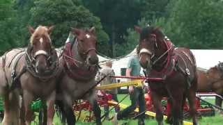 PferdeStark 2015 Schloss Wendlinghausen Landwirtschaftliche Vorführungen [upl. by Shanleigh988]