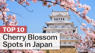 Top 10 Cherry Blossom Spots in Japan  japanguidecom [upl. by Pomona]