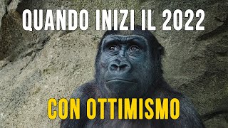 Quando inizi il 2022 con ottimismo [upl. by Leciram315]