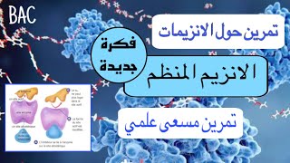 تمرين ممتاز حول الانزيمات المنظمةفكرة جديدة 🔥 بكالوريا [upl. by Henka764]