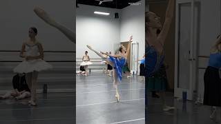 Raymonda by Lilian Rossman ballerinas ballet ballerina balletdancer dancer fyp viral [upl. by Klara]