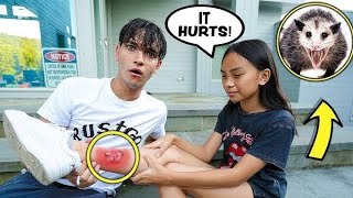 lucas and marcus  Our Little Sister Got ATTACKED By An OPOSSUM  Dobre Brothers [upl. by Suivart]