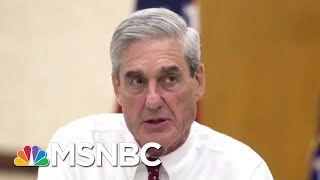 Robert Mueller Report Says ‘It Does Not Exonerate’ President Donald Trump  The Last Word  MSNBC [upl. by Lisette718]