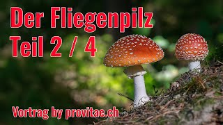 Der Fliegenpilz Vortrag Teil 2 [upl. by Omar]