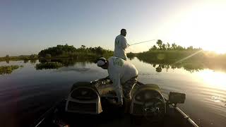 Cuba oil field Lake Cataouatche Lake Salvador [upl. by Aiceila825]