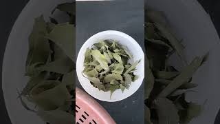 How to make Neem Khali for any plants 🌿Diy neem powder [upl. by Nylassej429]