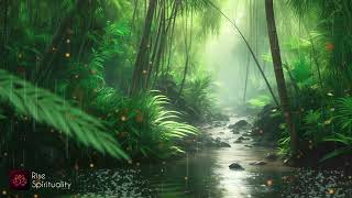 🌧️ Relaxing Rain Sounds amp Melodic Piano  Background Music for Sleep amp Study  Rise Spirituality 🎶✨ [upl. by Tevlev]