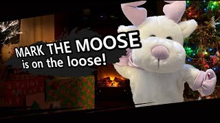 Mark the Moose’s Moveset All Star Smashers [upl. by Errecart263]