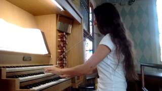 Ave Maria  Caccini organ [upl. by Janenna90]