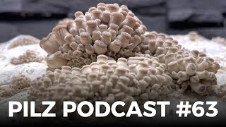 Pilz Podcast 63 [upl. by Ecirehc]