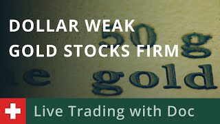 Live Trading with Doc 2212 Dollar weak gold stocks firm [upl. by Tacy861]