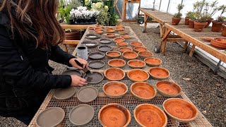 Sealing Terra Cotta Saucers amp Thinning Radishes 🙌💚🌱  Garden Answer [upl. by Kelcie161]