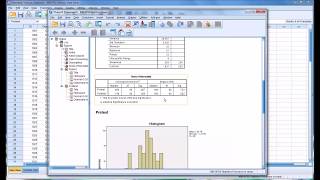 Normality Tests in SPSS [upl. by Lyram]