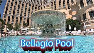 Bellagio Pool Top 10 Pool in Las Vegas [upl. by Shelman]