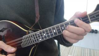 Learn Every Major and Minor Chord  Mandolin Lesson [upl. by Wilek]