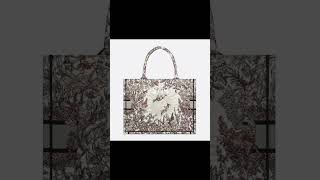 디올 24SS Dior Book Tote 북토트 미디엄 백 지수 가방 M1296ZEB Q20E [upl. by Sixela]