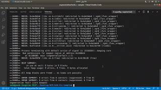 Debugging segmentation faults in C using three methods VSCode  core file and Valgrind [upl. by Zamir]