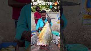 KASIMEDU 🔥 MURUGAN BIG TREVALLY FISH CUTTING VIDEO kasimedufishcutting youtubeshorts bigfish [upl. by Aid779]