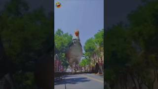 Itna bada Billi 🐈‍⬛ itna bada murga a Gaya 🐓 funny shorts statmrfanny comedy trending [upl. by Nivar]