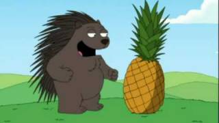 Porcupine meeting a pineapple [upl. by Barbarese322]