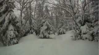 Skiing Goat and the Woods at Stowe Mountain Resort on a Powder Day [upl. by Reidar]