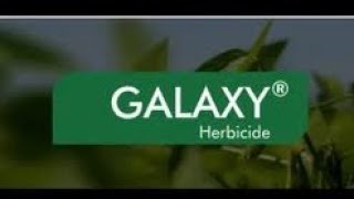 Galaxy herbicideसोयाबीन का चौड़ी पत्ती के खरपतवार नाशकfluthiacet methyl 103�the advance kisan [upl. by Ayanad]