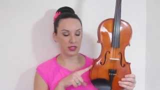 Stentor Student Standard 1018A Violin Review [upl. by Kcir385]