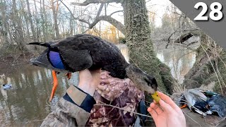 Duck Hunting The River During A Cold Snap  Mixed Bag On Public Water [upl. by Eihcir936]