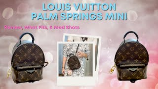 Louis Vuitton Palm Springs Mini Backpack Review  Mod Shots amp What Fits [upl. by Innad]