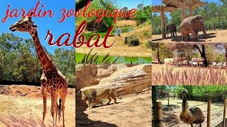 جولة ممتعة بحديقة الحيوانات الرباط كأنك في أدغال إفريقيا🦍🦒🐘🦓🦁🇲🇦jardin zoologique rabat [upl. by Philomena336]