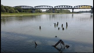 Secca fiume Po a Ostiglia resti del ponte bombardato nel 1944 e di ponte provvisorio USA del 1945 [upl. by Otto]