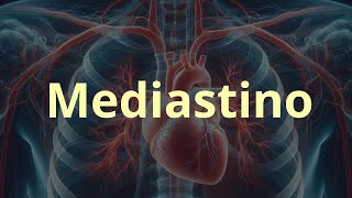 Mediastino [upl. by Englis]