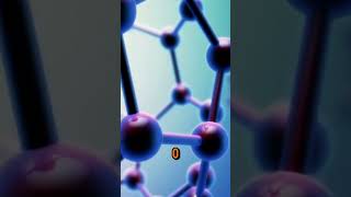 How Carbon Moves Through Earth’s Atmosphere Land and Oceans [upl. by Joshi]