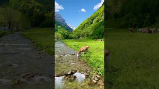 📍Murren Village Switzerland 🇨🇭 😲 shorts youtube youtubeshorts [upl. by Cristin485]