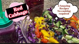 Red Cabbage3 Easy recipes to makeCancerfighting Superfood Low carbs Keto Healthy Recipes [upl. by Adolfo]