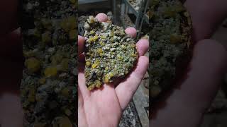 Wulfenite my beloved geology cool minerals rocks science mexico [upl. by Burbank]