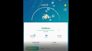 Shiny Goldeen evolution in Pokemon Go Shorts [upl. by Cunningham]