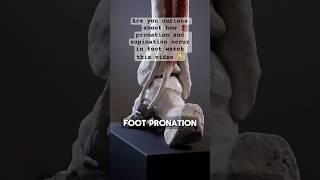 Master Pronation amp Supination Foot Mechanics Simplified for Students PronationVsSupination [upl. by Fiertz283]