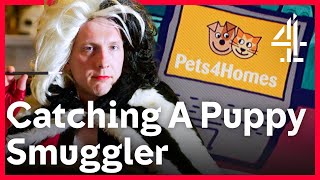 Joe Lycett EXPOSES Illegal Puppy Traders  Joe Lycetts Got Your Back [upl. by Lawley]