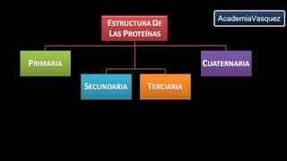 Estructura y Organización de las Proteínas [upl. by Engdahl]