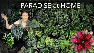 RESORT GARDEN 🌴 at HOME  DIY TROPICAL COSY BACKYARD with 8 EASY Garden Design Tips [upl. by Ayanal]