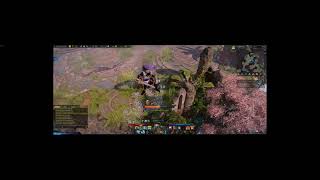 Lost Ark Punika Secret forest best excavating spot guide [upl. by Nonnad]