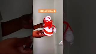 DHGATE HALL  Nike dunks [upl. by Nabois326]