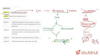 Assertion  Haploids are used to study mutation Reason  Most of the mutations are recessive [upl. by Melisa512]