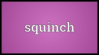 Squinch Meaning [upl. by Jessica]