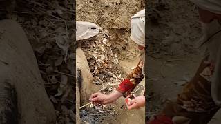 Cooking Rural style Food 😋  village life Afghanistan [upl. by Nnoryt]